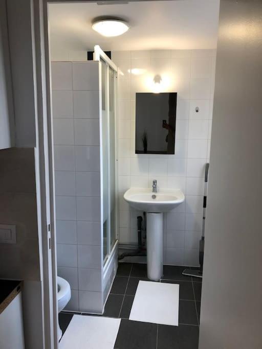 Super Appartement Pre De Disney. Chessy  Dış mekan fotoğraf