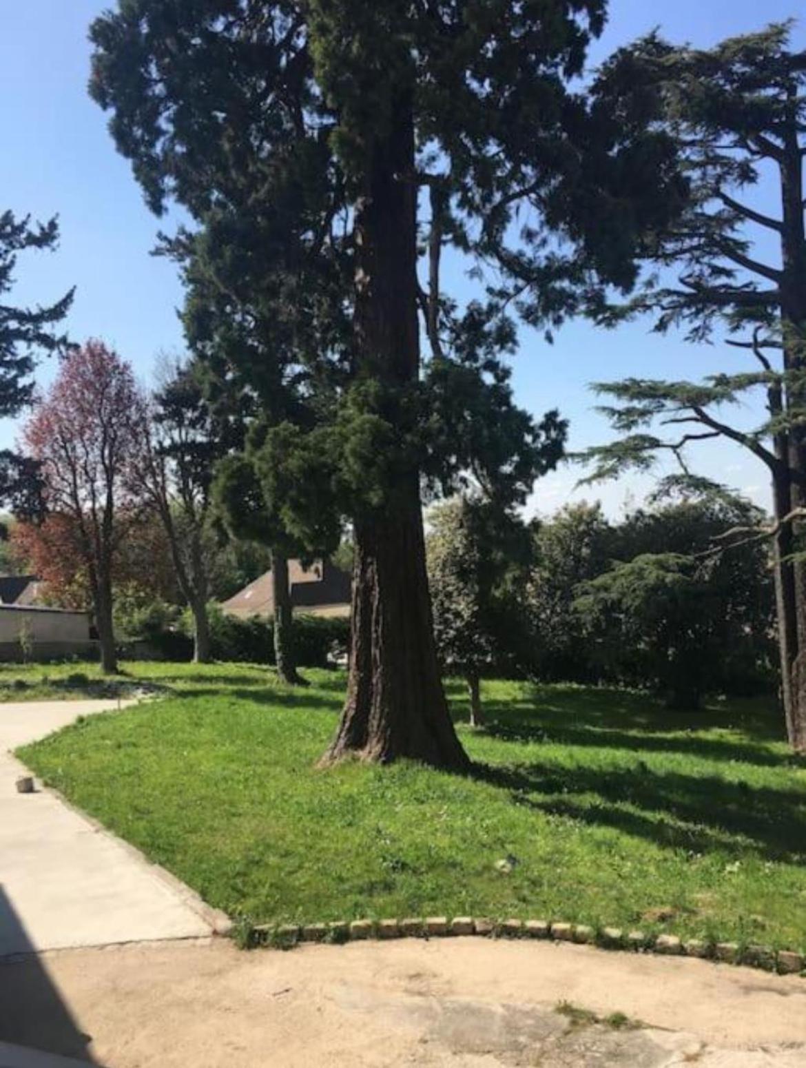 Super Appartement Pre De Disney. Chessy  Dış mekan fotoğraf